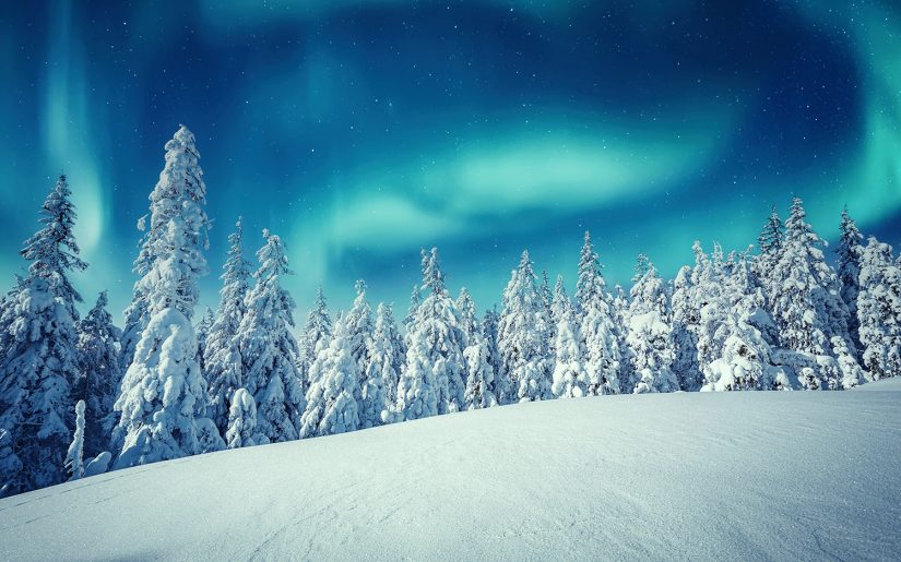 Nordlichter über den verschneiten Wäldern in Finnlands Lappland