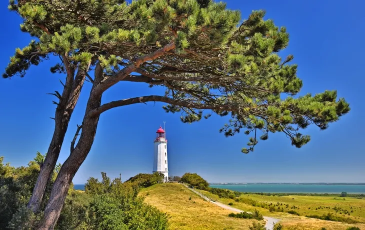 Dornbush Leuchtturm an der Nordküste der Insel Hiddensee