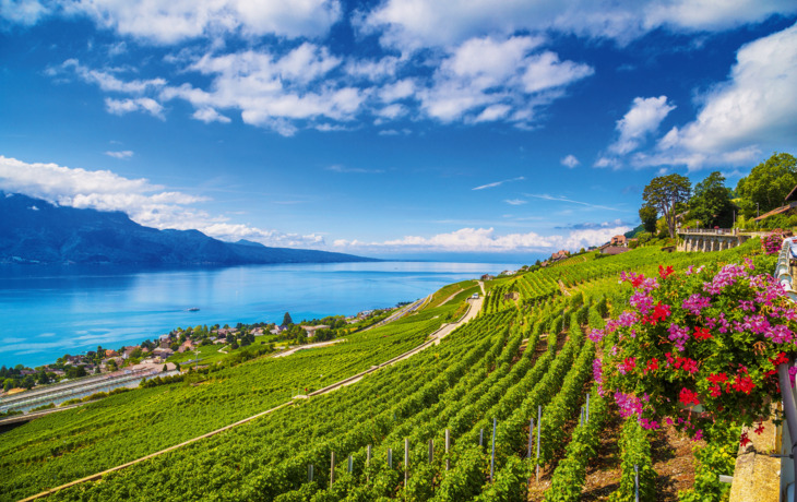 Weinregion Lavaux am Genfer See