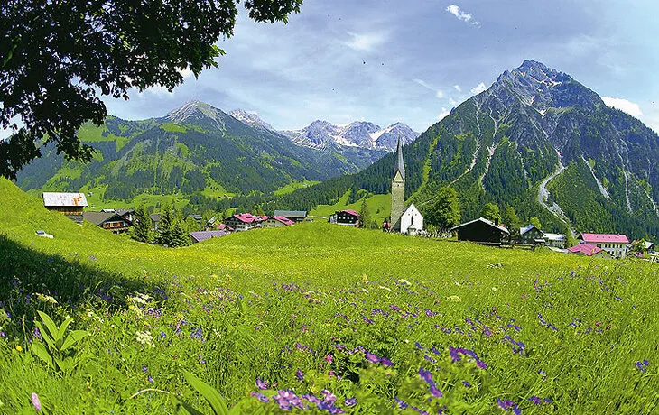 Bergpanorama, Blumenwiese, Kirchturm