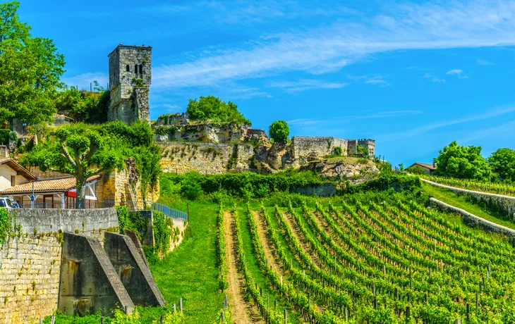 Weinberge bei Saint Emilion in Frankreich