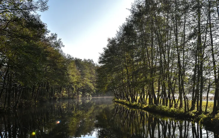 der Fluss Wakenitz bei Lübeck, Deutschland