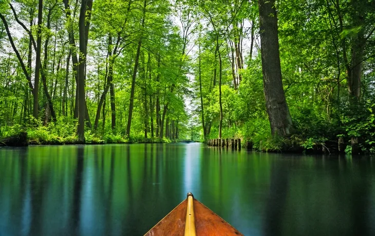 Kahnfahrt im Spreewald, Deutschland