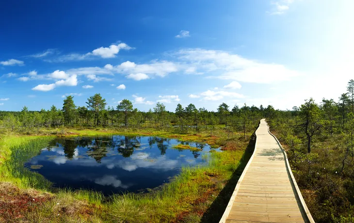 Viru-Moore im Lahemaa-Nationalpark