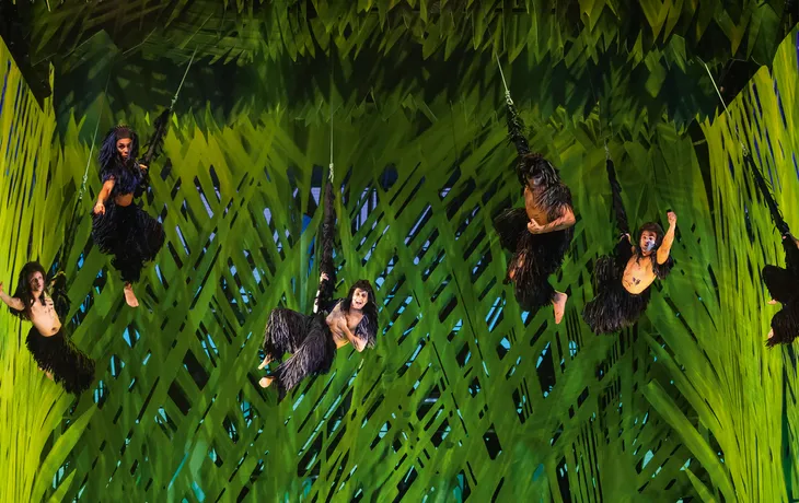 TARZAN -  das Musical