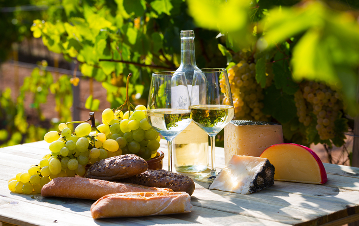 Wein-Genuss in den Weinbergen
