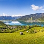 Blick über Zell am See im Sommer