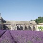 Avignon